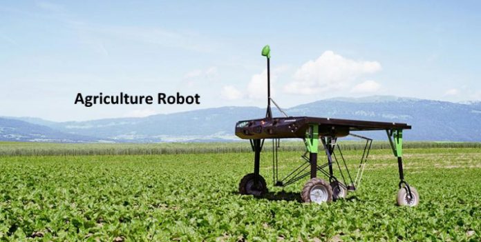 Agriculture Robot