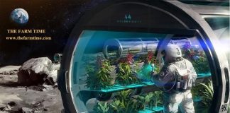 Space Agriculture Market (COVID-19 Impact) 2020- Future Development, Manufacturers, Trends, Share, Size and Forecast Space Agriculture Market (COVID-19 Impact) 2020- Future
