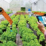 Controlled-Environment Agriculture , Controlled-Environment Agriculture Market, Controlled-Environment Agriculture Market Analysis