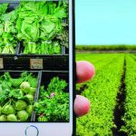 Connected Agriculture Market - Premium Market Insights