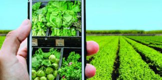 Connected Agriculture Market With Top Players Accenture, Ag Leader Technology, Decisive Farming, Epicor Software, IBM, Link Labs, Microsoft, Orange Business Services, Trimble, Vodafone Connected Agriculture Market - Premium Market Insights