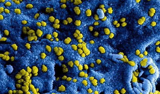 BIT-nieuws – Maatregelen bij BIT in verband met Coronavirus