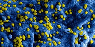 BIT-nieuws – Aangepaste richtlijnen bij bezoek aan BIT