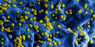 BIT-nieuws – Aangepaste maatregelen BIT wegens coronavirus