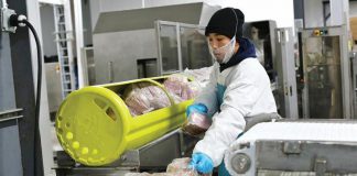 Pet Food Processing Market Growth by 2027| Andritz Group, Baker Perkins, Buhler Holding AG, Clextral SAS, Coperion GmbH, F.N. Smith, GEA Group, Mepaco Group, Precision Food Innovations, The Middleby Pet Food Processing Market - Premium Market Insights