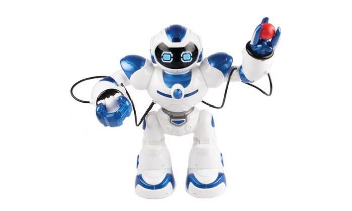 Intelligent Robot Toy