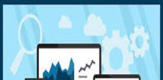 Application Crowdtesting Services Market to See Huge Growth by 2025 | Testbirds, Userfeel, Applause, Beta Family, Crowdtest Application Crowdtesting Services