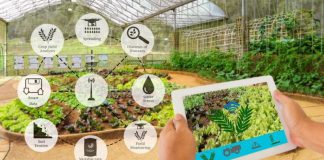 Agriculture Analytics Market is Stunning Worldwide with IBM, SAP SE, Trimble, Oracle, Accenture, Iteris Agriculture Analytics