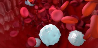 Medical Animation Market May See Enormous Growth Post COVID-19 Scenario: INFUSE MEDIA GROUP, Hybrid Medical Animation, Ghost Productions, Scientific Animations, INVIVO Communications, Random42 Scientific Communication, AXS Studio, Visible Medical Animation Market