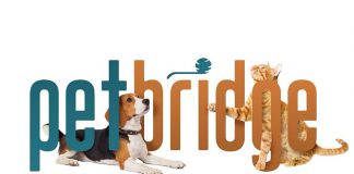 Animal Shelter Software Market Size Is Expected To Witness Significant Growth Of $4.7 billion by 2026 by BARRK, iShelters, Island Business , Pawlytics, PetPal Manager, Shelter Pro Software, Animal Shelter Software Market Size Is Expected To Witness