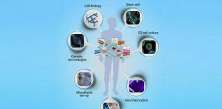 Organ-On-Chip Market To Register Explosive Growth: AxoSim, BiomimX S.r.l., Elveflow, Emulate, Inc., Hµrel Corporation, InSphero, MIMETAS, NORTIS, INC., TARA Biosystems, Inc., Organ-On-Chip Market