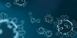 Nieuws & Blogs – Privacyproof tegen het coronavirus