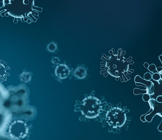 Nieuws & Blogs – Privacyproof tegen het coronavirus