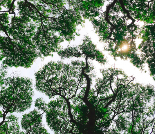 Using YAML to Configure Complex Environments Using YAML to Configure Complex Environments