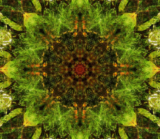 Climate Action Needed Everywhere, All at Once Climate Action Needed Everywhere, All at Once